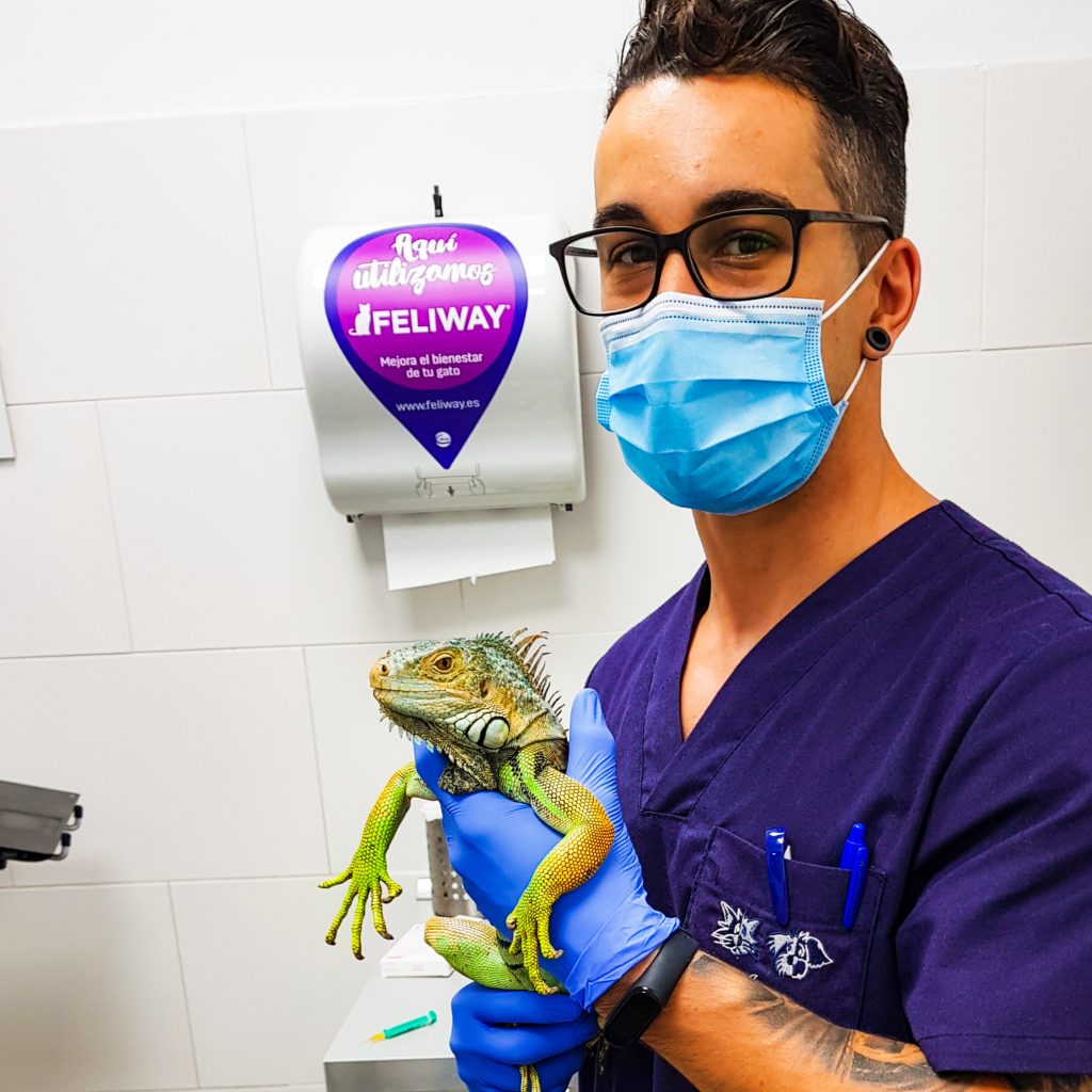 clinica veterinaria animales exoticos palma
