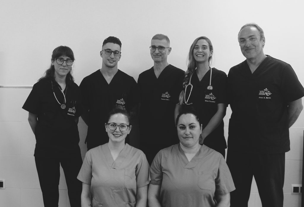 clinica veterinaria metropolitan palma de mallorca